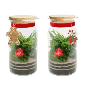 Dwa t.b.t. 'Las w szkle' z dekoracjami świątecznymi w szkle. Mini terrarium z paprocią i mchem.