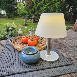 Struhm Lampa solarna stołowa PELAGIA LED 2W 4000K 100lm IP44 28cm chrom/biała
