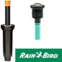 Zraszacz Rain Bird 1804 z dyszą R-VAN-SIDE STRIP - 1,2x8,5/1,8x9,8 m