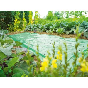 Zielona folia do inspektu (10x1,5 m) nad grządką warzywną w ogrodzie, ochrona przed pogodą i owadami.