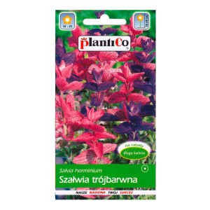 Opakowanie nasion szałwii trójbarwnej: Kwiaty do rabat i ogrodów.