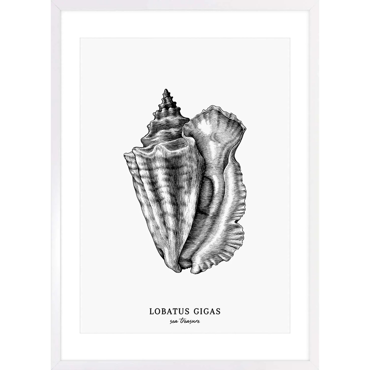 ARS LONGA Obraz LABATUS SHELL 53 x 73 cm