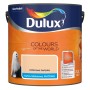 Dulux Colours of the World farba do ścian, odcień Herbata Imbirowa, farba lateksowa matowa.