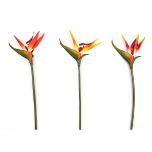 Strelicja gałązka sztuczna mix - 62 cm