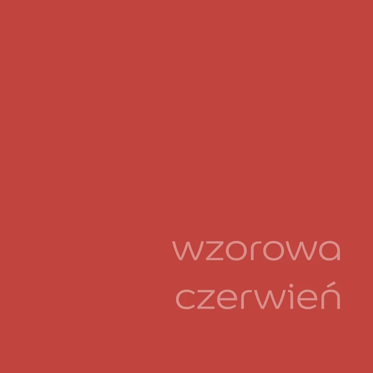Próbka koloru farby ściennej t.b.t. w intensywnym odcieniu czerwieni.