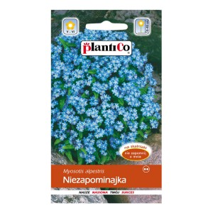 Opakowanie nasion niezapominajki: Niebieskie kwiaty do ogrodu.