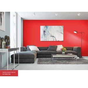 Pokój dzienny z czerwoną ścianą (t.b.t.) i szarą kanapą.