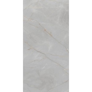 Gres szkliwiony półpolerowany Armano grey 60 x 120 cm