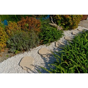 Ścieżka ogrodowa z okrągłymi płytami tarasowymi t.b.t. i białym żwirem między zielonymi roślinami.