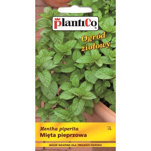 Opakowanie nasion mięty pieprzowej (Mentha piperita) do ogrodu.