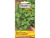Mięta pieprzowa