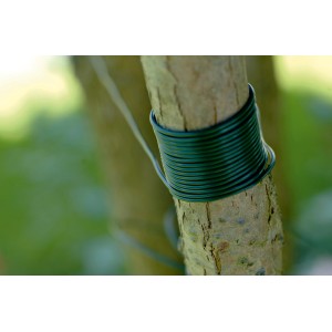 Ciemnozielona plastikowa taśma do wiązania (25 m) owinięta wokół pnia drzewa.