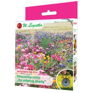 Mieszanka nasion kwiatów na kolorową łąkę kwiatową, idealna do późnego siewu.