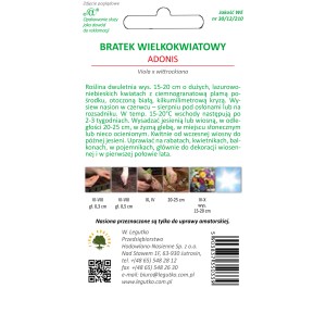 Opakowanie nasion bratka wielkokwiatowego Adonis (Viola wittrockiana).