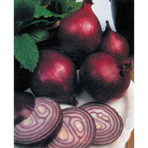 Kilka czerwonych cebul, całe i pokrojone w plastry, na talerzu. Kategoria: Warzywa.