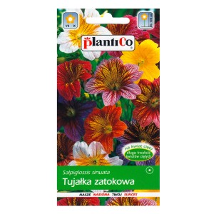 Opakowanie nasion kolorowej mieszanki kwiatów T.b.t., idealne na rabaty i balkony.