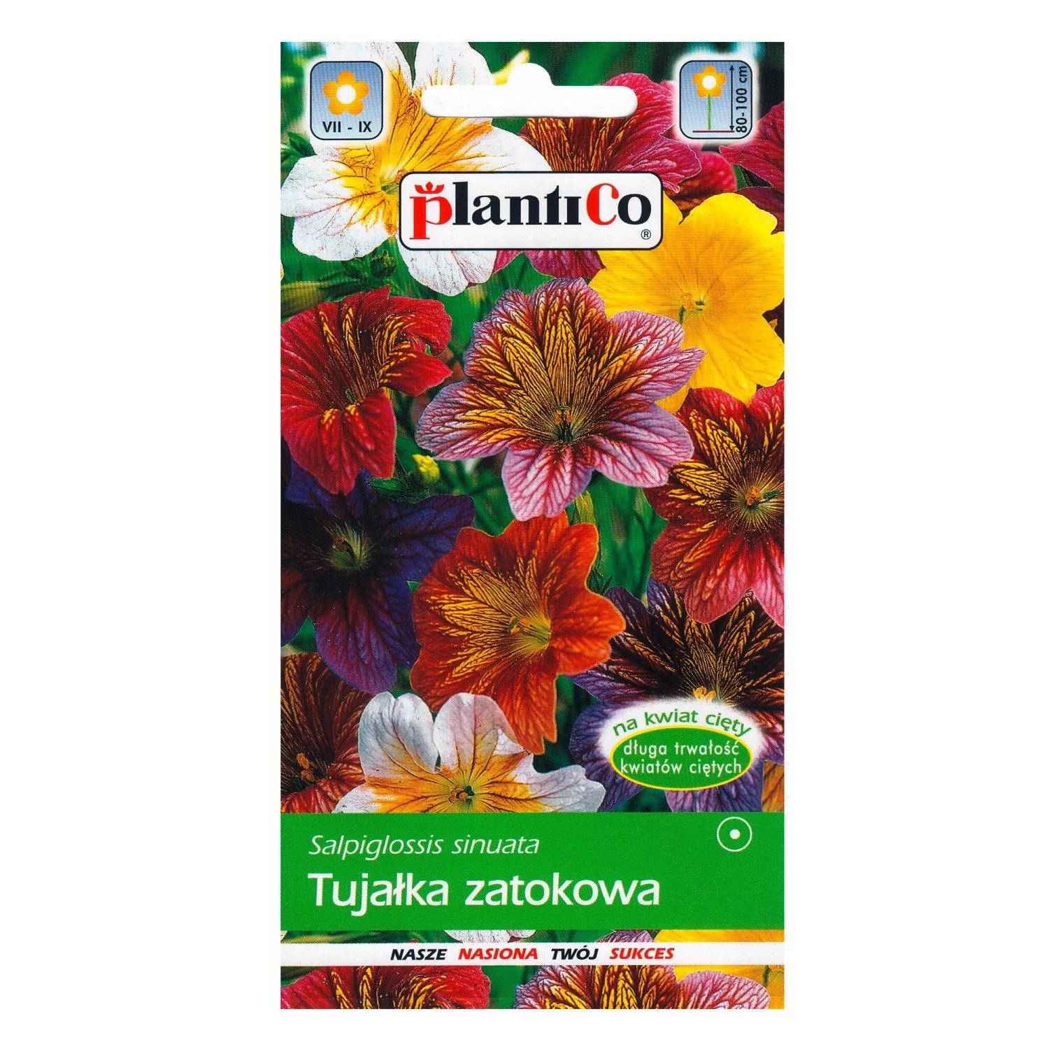 Tujałka mix