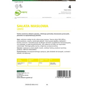 Sałata masłowa Lento - 6 m