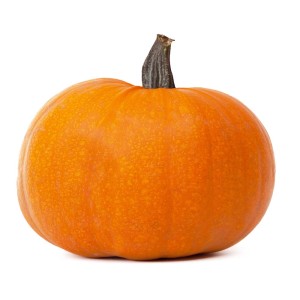 Pomarańczowa dynia jako dekoracja ogrodu.