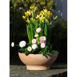 Karmelowa misa Wave (Ø 31 cm) obsadzona narcyzami i stokrotkami.