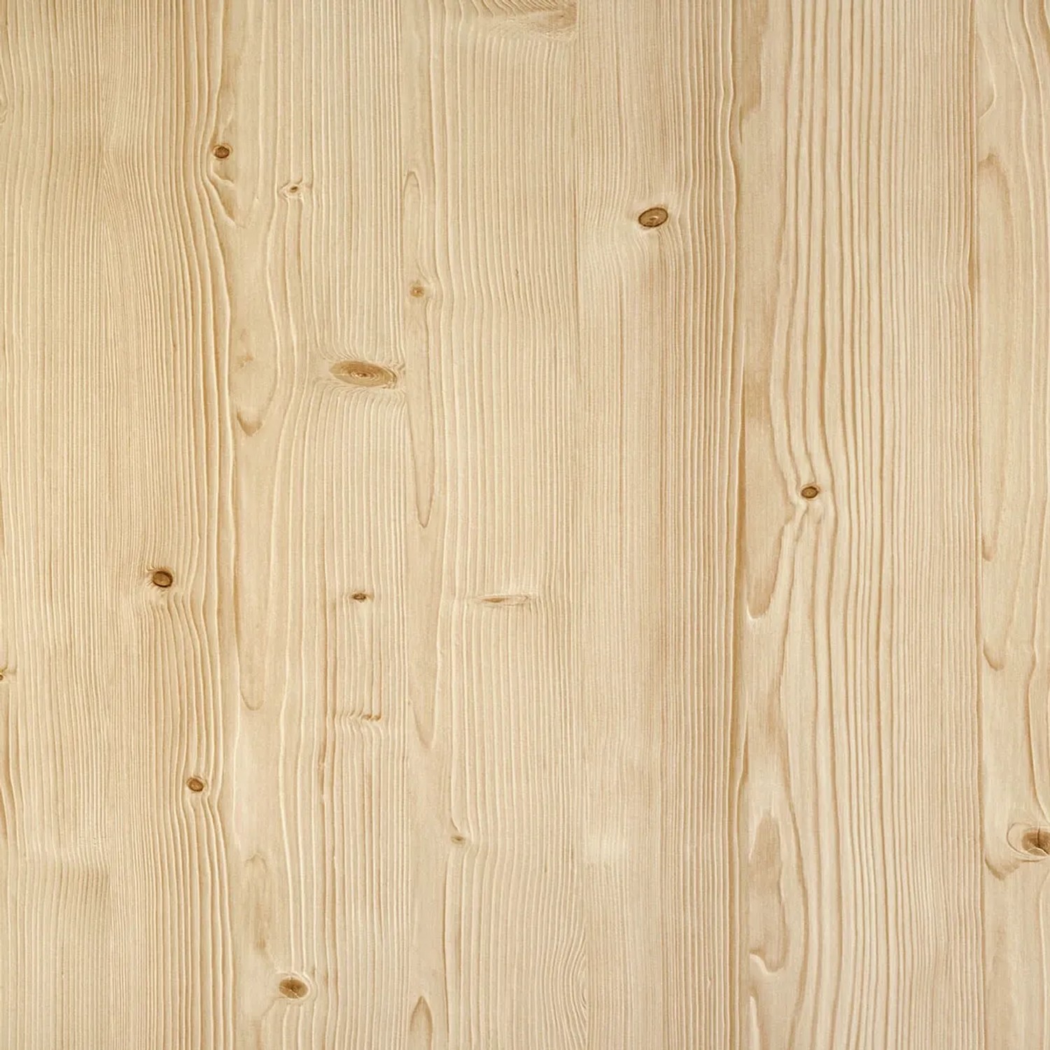 Okleina SOSNA JURAJSKA 90 x 210 cm