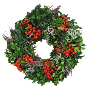Dekoracyjny wieniec roślinny z zielonymi liśćmi i czerwonymi jagodami. Idealny jako roślina doniczkowa.
