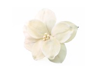 Magnolia na piku welurowa kremowa - 21 cm