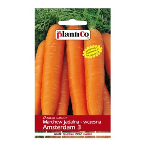 Opakowanie nasion marchwi 'Amsterdam 3'. Nasiona warzyw do ogrodu.