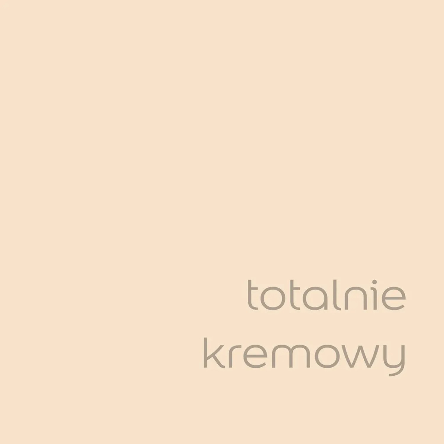 Próbka koloru farby do ścian t.b.t. w kolorze kremowej bieli.