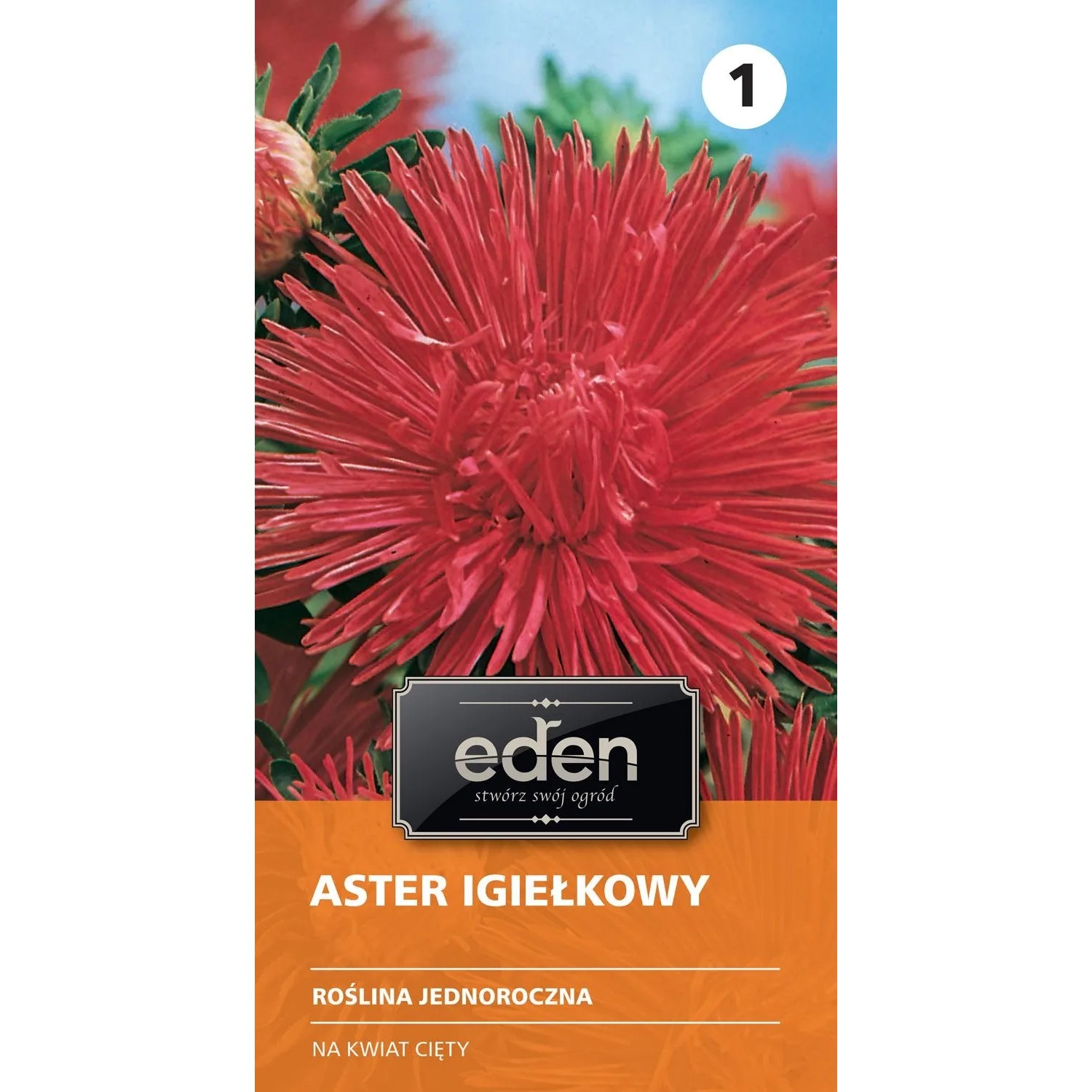 Aster chiński igiełkowy - 0,5 g