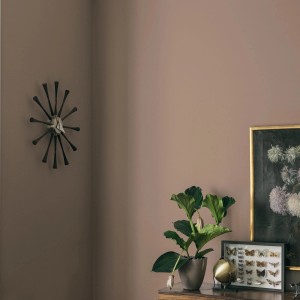 Ściana w stonowanym odcieniu z zegarem i dekoracją. Kolorowa farba do ścian t.b.t.