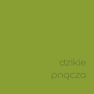 t.b.t. farba do ścian w świeżej zieleni do wnętrz.