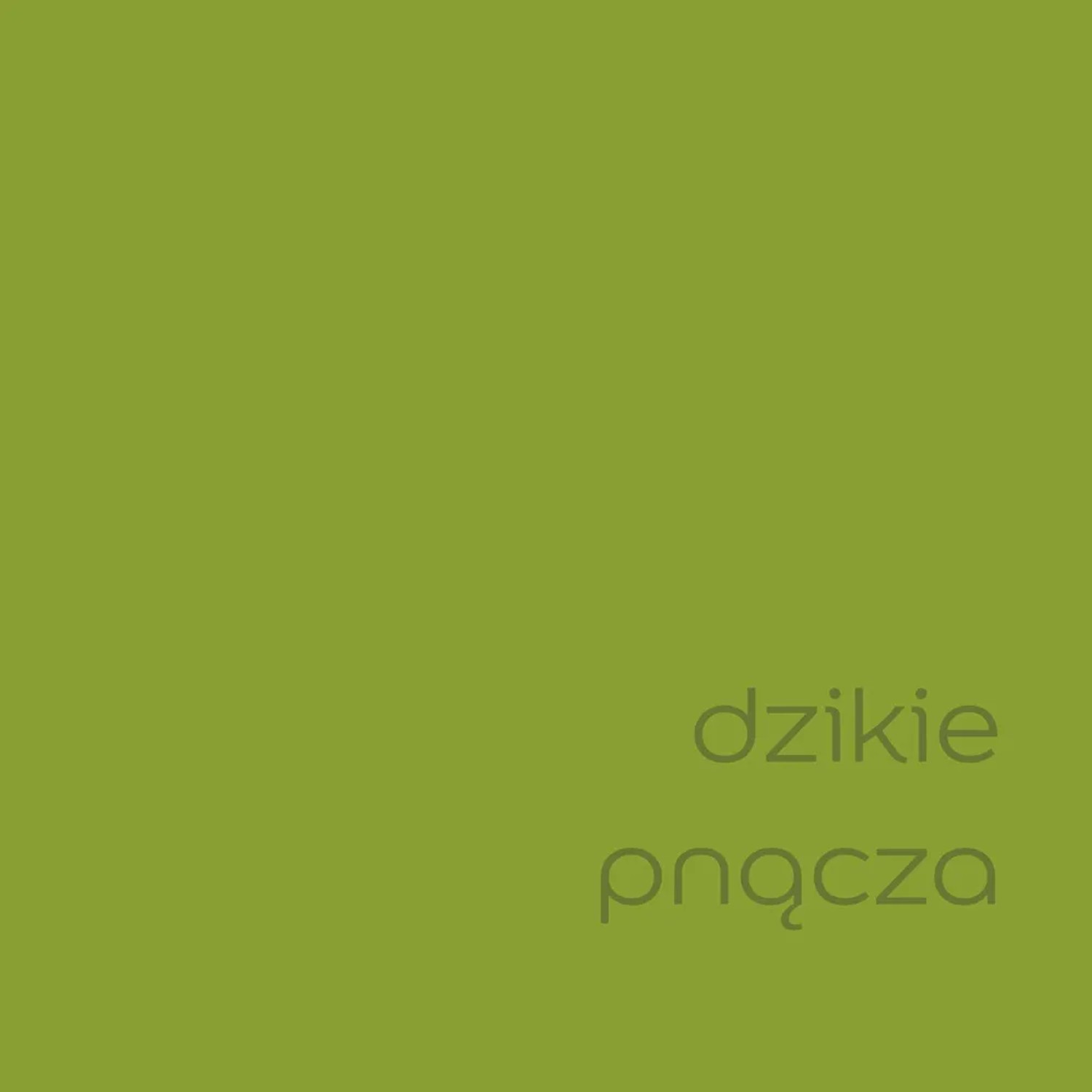 t.b.t. farba do ścian w świeżej zieleni do wnętrz.