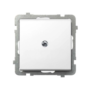 Biała zaślepka gniazda t.b.t. ze srebrną ramką.