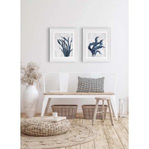 ARS LONGA Obraz SEA PLANT no.1 48 x 58 cm