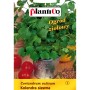 Opakowanie nasion kolendry (t.b.t.) do ogrodu ziołowego.