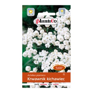 Opakowanie nasion krwawnika kichawca 'Krwawnik kichawiec'. Białe kwiaty, idealne na rabaty i suche bukiety.