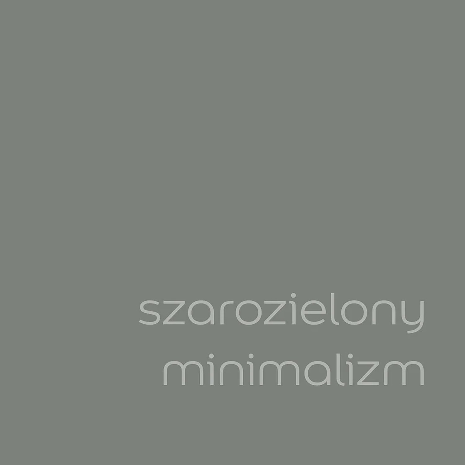 Szaro-zielony próbnik koloru farb do ścian. Idealny do nowoczesnych wnętrz.