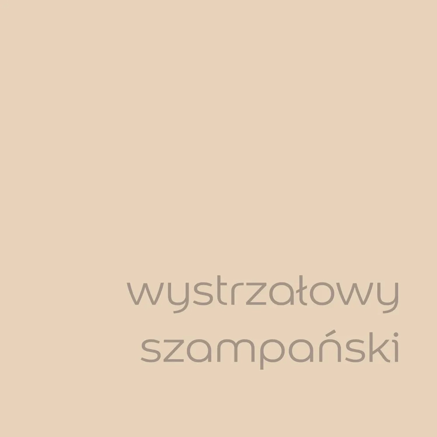 Próbka koloru farby ściennej t.b.t. z kategorii Kolorowe farby do ścian.