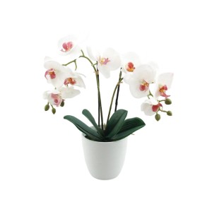 Storczyk w doniczce gumowany white - 40 cm