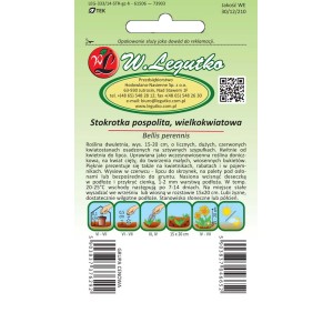 Opakowanie nasion stokrotki (Bellis perennis). Idealne na rabaty, do donic i na balkony.