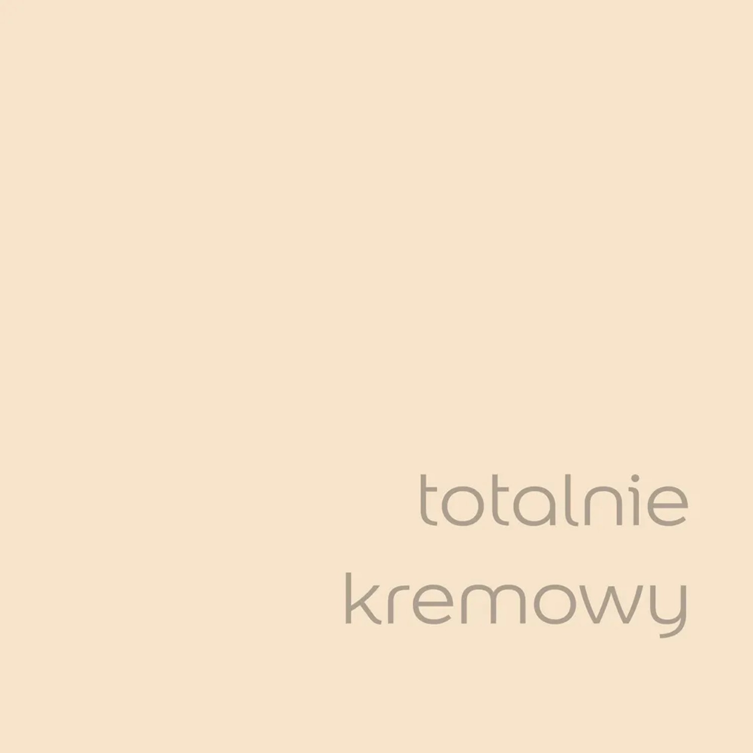 Próbka koloru farby do ścian t.b.t. w kolorze kremowej bieli.