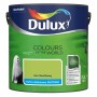 Wiadro z farbą Dulux, odcień "Las Równikowy", do ścian.
