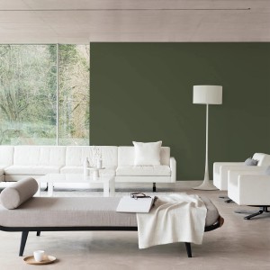 Salon z oliwkowozieloną farbą na ścianie. Kolorowe farby do ścian dla pięknego domu.