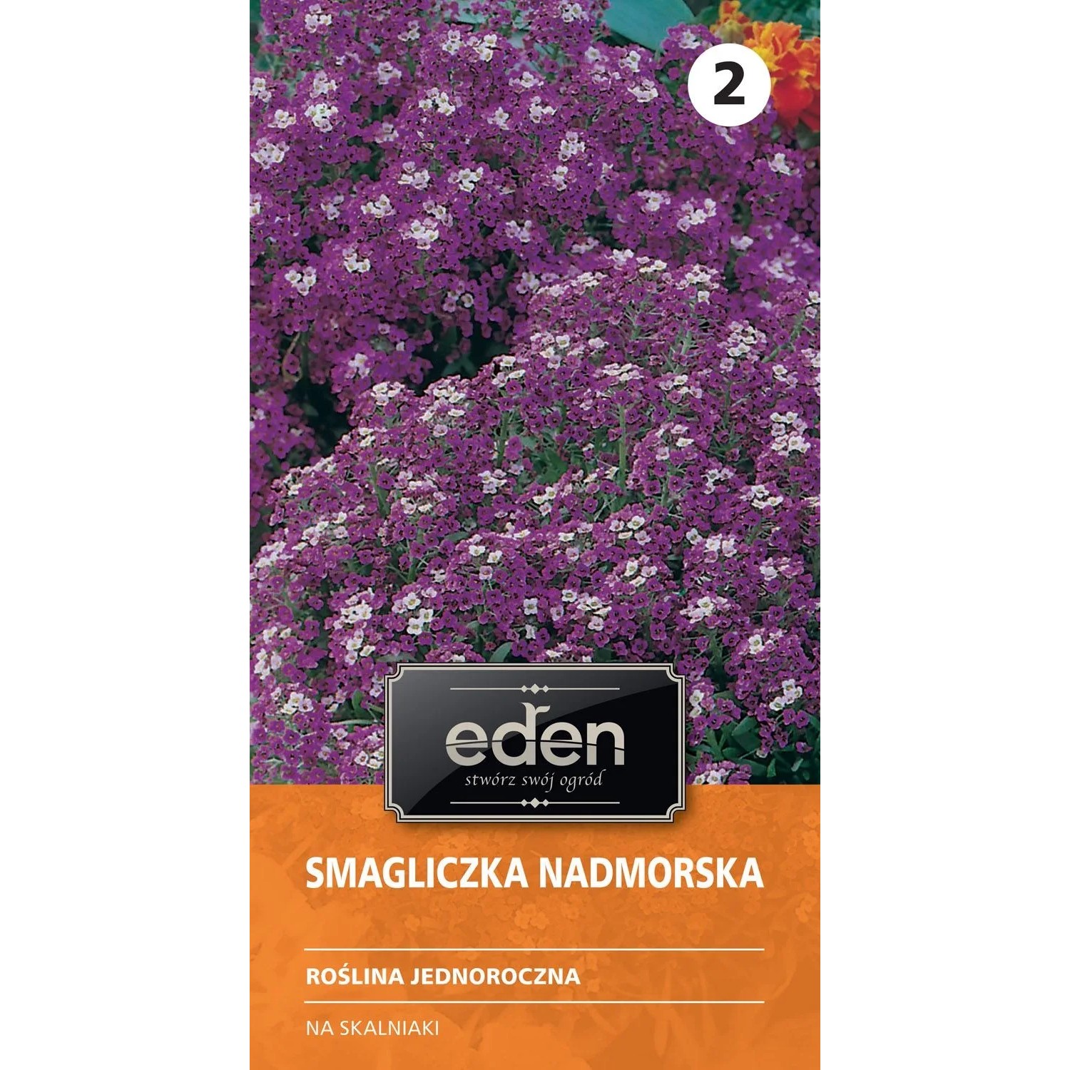 Smagliczka nadmorska - 1 g