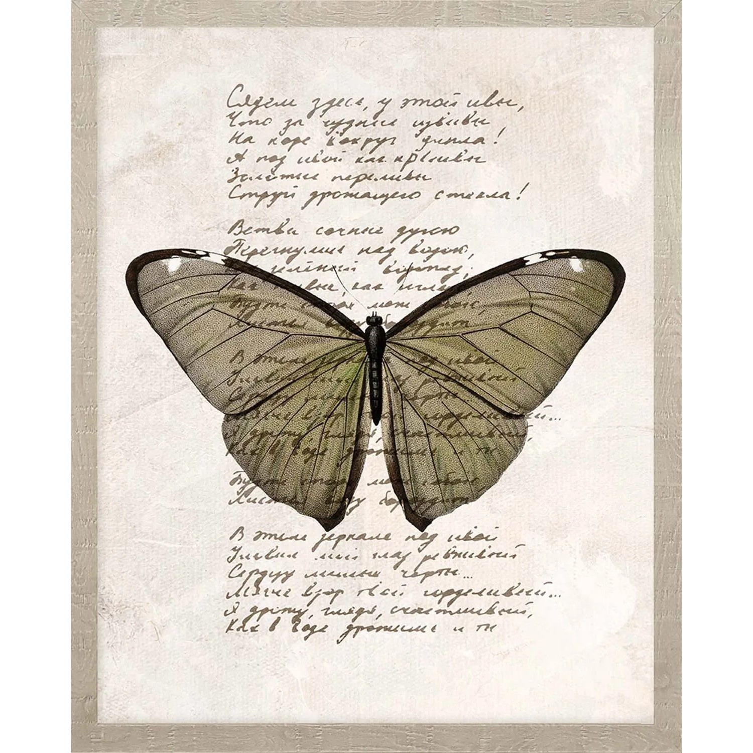 ARS LONGA Obraz BUTTERFLY no.2 43 x 53 cm