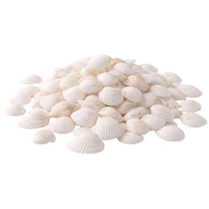 Muszelki dekoracyjne białe 2 cm - 200 g