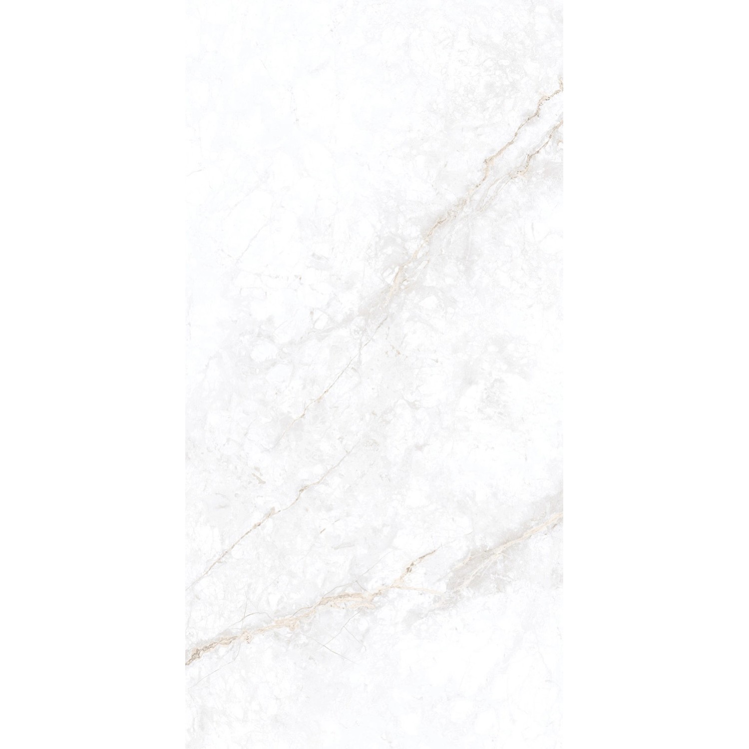 Gres polerowany Calacata glory 60 x 120 cm