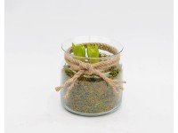 Kompozycja hiacynt w szklanym słoju, 3 cebule