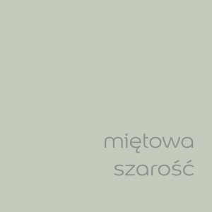 Próbka koloru farby do ścian t.b.t. w miętowej szarości.